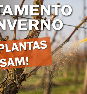 capa-tratamento-de-inverno